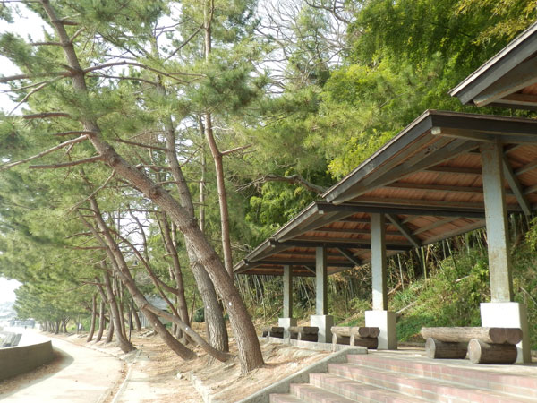 c0047341_9345164.jpg