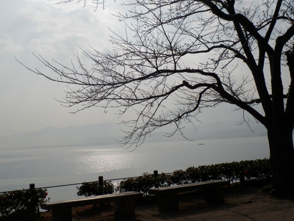 c0047341_9381060.jpg