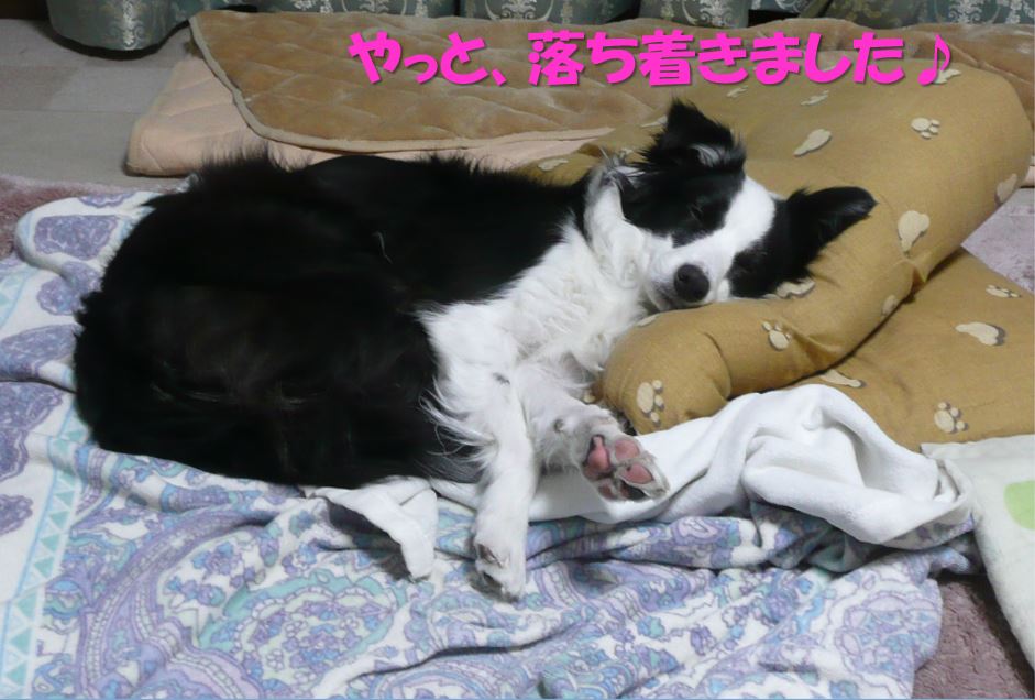 c0147241_1835171.jpg