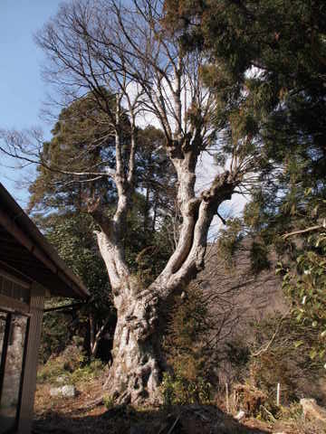 b0199742_19595245.jpg