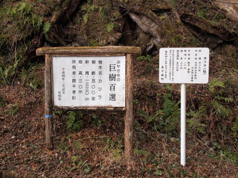 b0199742_2061621.jpg