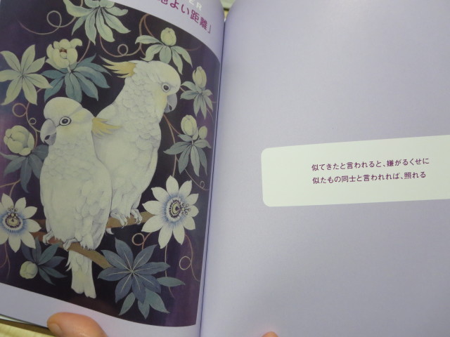 短編画集「鳥と猫と君とボク」制作秘話_c0145449_18064532.jpg