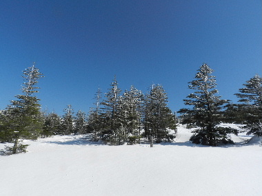 e0172950_2038309.jpg