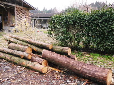 春に向けて!桃、梅、キウイの剪定と株式会社旬援隊の冬の様子!!_a0254656_1744666.jpg