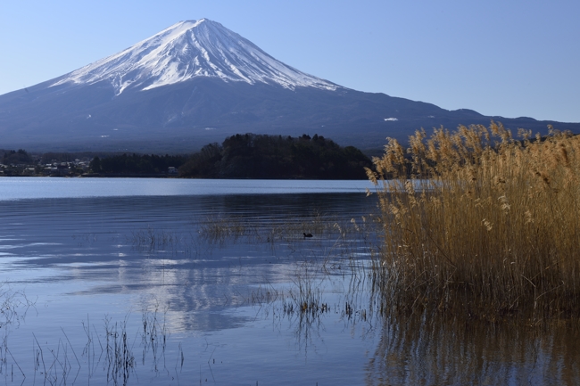 富士山周遊２泊３日（３）_a0109257_1842015.jpg