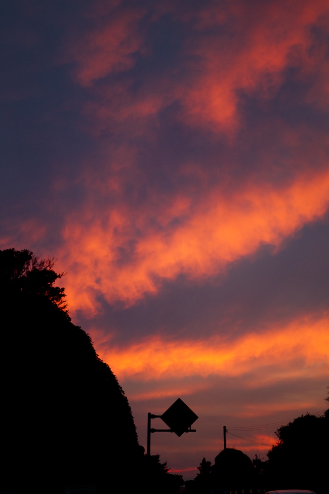 f0268259_0491427.jpg