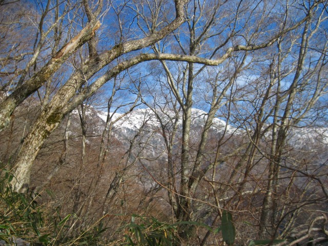 2014.2.1　寒風山1763ｍ_c0219866_17483118.jpg