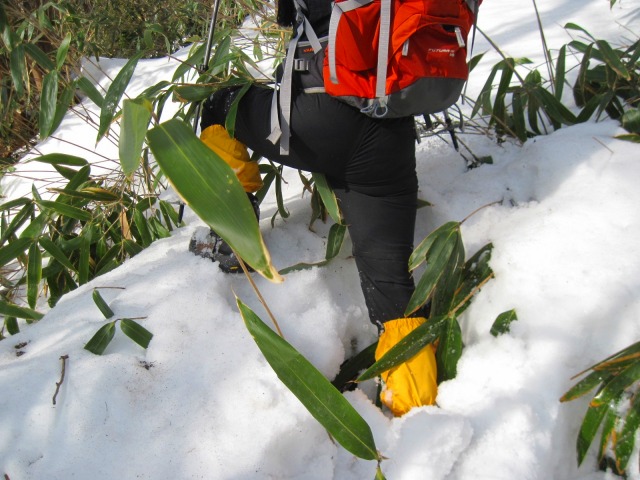 2014.2.1　寒風山1763ｍ_c0219866_1749475.jpg