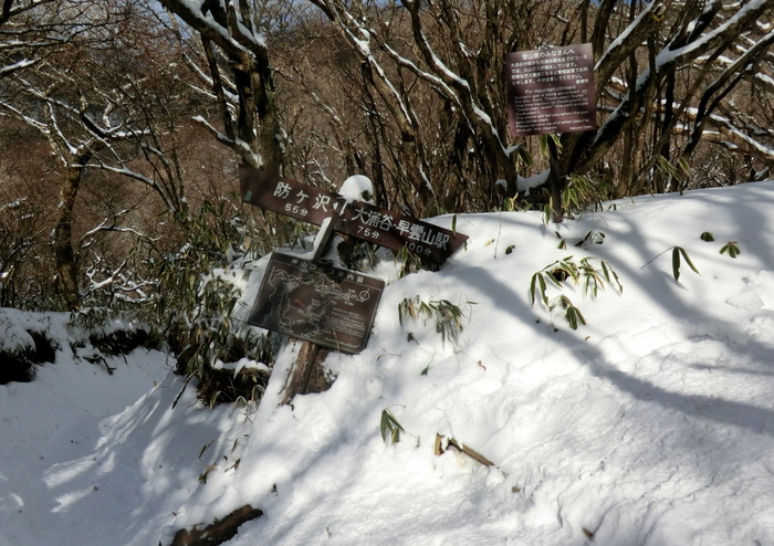 No328 箱根・ロープウエーで駒ケ岳～神山ピストン_b0185573_14262011.jpg