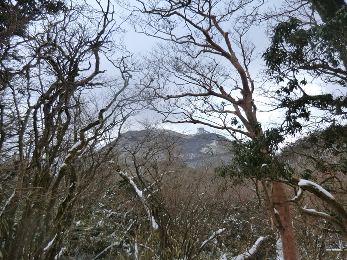 No328 箱根・ロープウエーで駒ケ岳～神山ピストン_b0185573_1831331.jpg