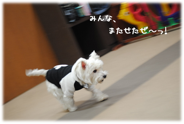 b0242873_02031298.png
