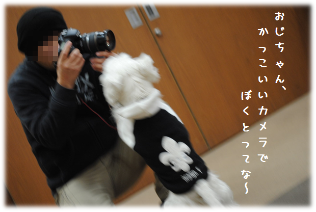 b0242873_02041684.png