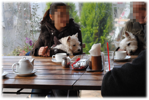 b0242873_02310570.png