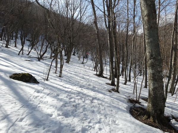 大峰「和佐又山(冬）」：大普賢の御膝元をひた歩く_c0066176_10314544.jpg