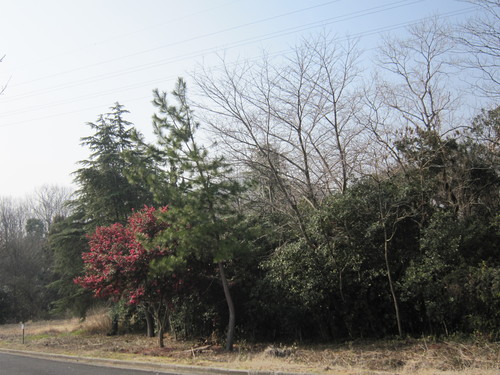 e0254678_15552374.jpg