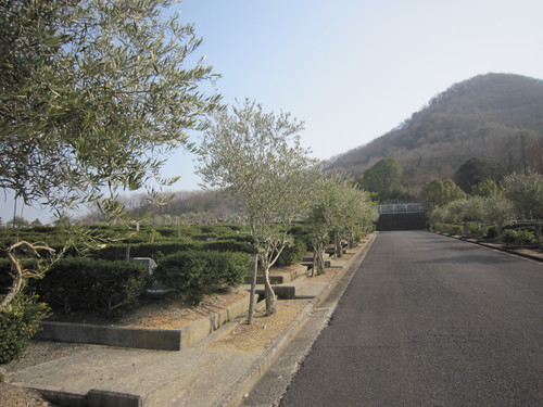 e0254678_15554359.jpg