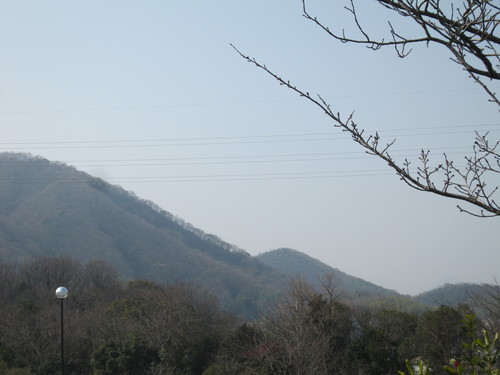 e0254678_1555440.jpg