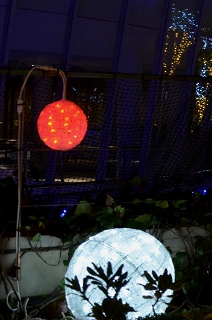 c0229483_18175815.jpg