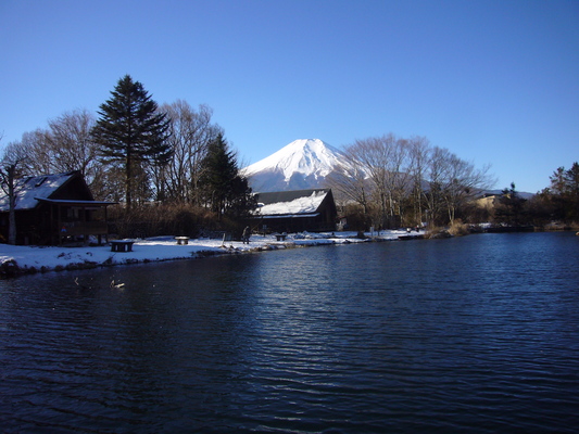 a0141884_10513998.jpg