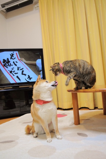 姉妹_a0126590_1481045.jpg