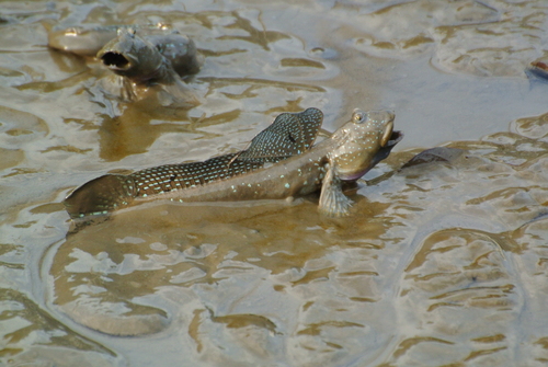 a0214490_14224381.jpg