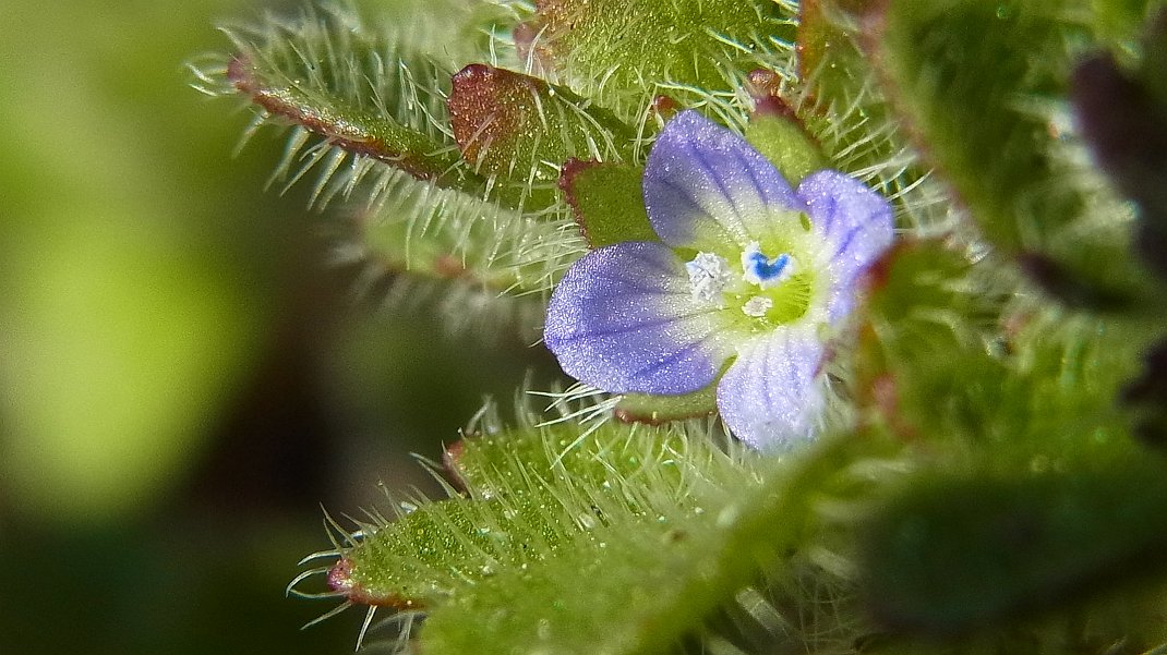 a0152692_18234364.jpg