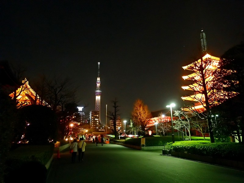 f0129994_16017.jpg
