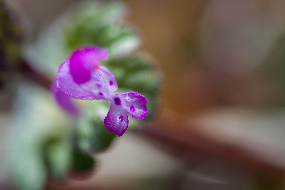 b0010915_23323777.jpg