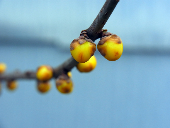 e0083517_2012461.jpg
