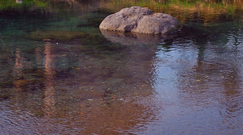 b0280025_044166.jpg