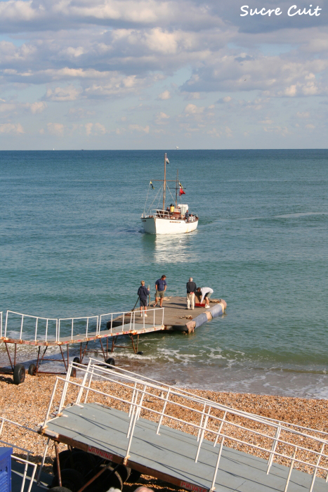 Eastbourne ・ Brighton_c0127227_2131245.jpg