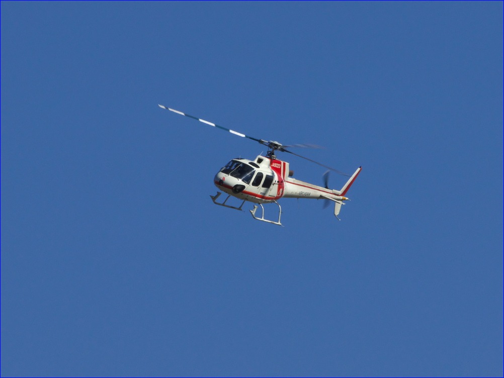 先日の「そうだ、守谷行こう！」 : ギャラリー☆花鳥風翼II