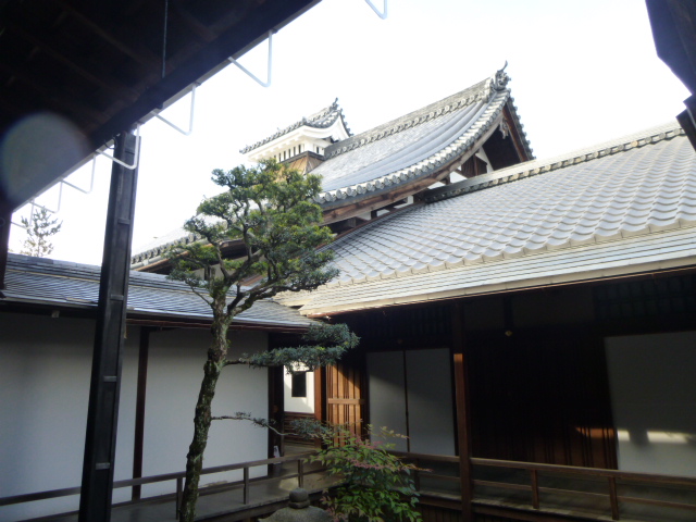 京の冬の旅　絶好調！_d0106134_13332761.jpg