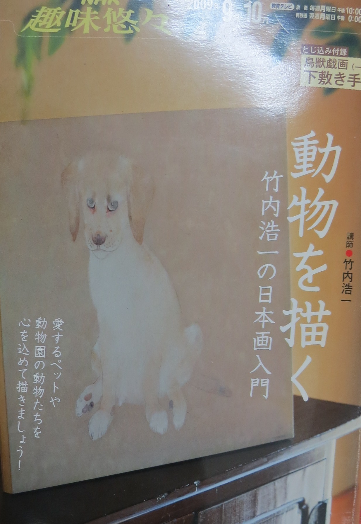 絵の本と飯田橋画廊 : 『一日一畫』 日本画家池上紘子