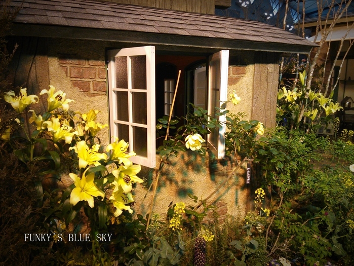 c0145250_8541216.jpg