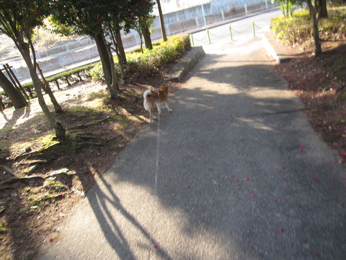 f0245650_8533949.jpg