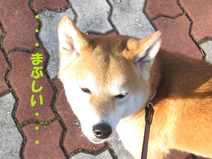 f0245650_914528.jpg
