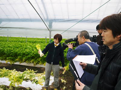 熊本セロリ「清正人参」 出荷の様子!_a0254656_19412363.jpg