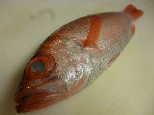 高級魚を・・・_e0252966_13395756.jpg