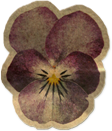a0133971_2030322.png