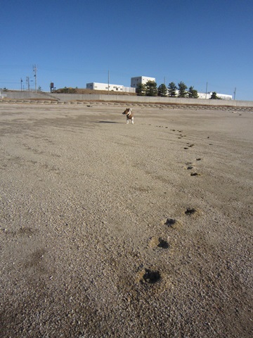 f0100871_21174141.jpg