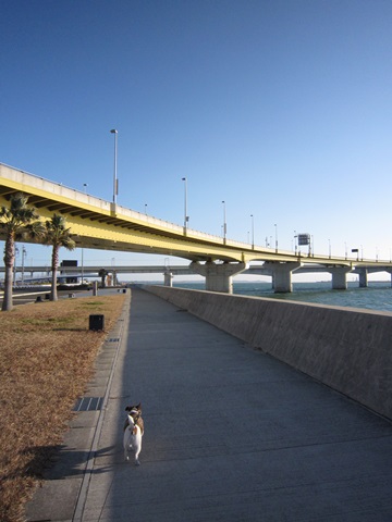 f0100871_21185044.jpg