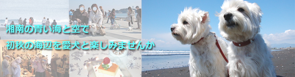 b0242873_21010896.png