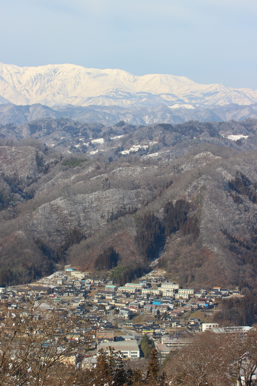 冬の長野で鳥見（イスカを求めて）5_a0167480_17362544.jpg