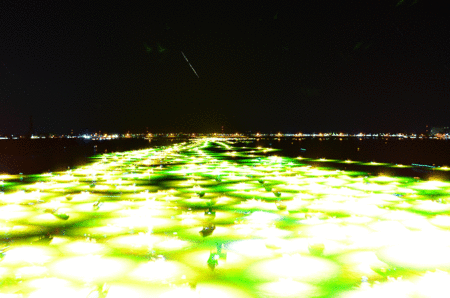 d0133382_1721968.gif