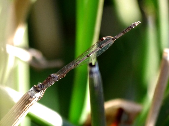 d0088184_2148506.jpg