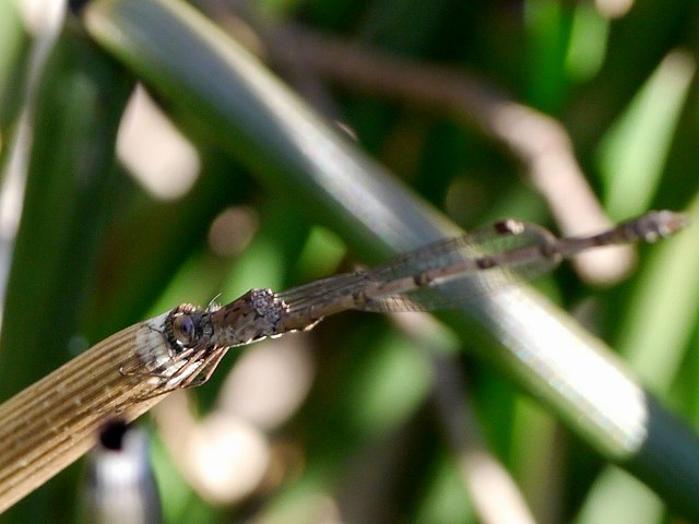 d0088184_2149578.jpg