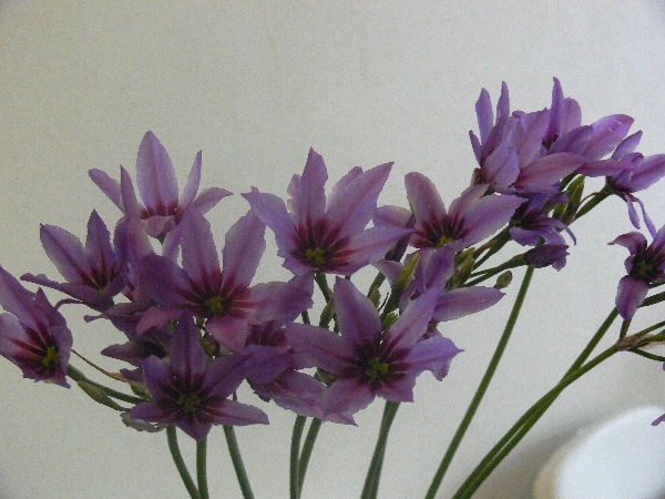 e0140986_14132379.jpg