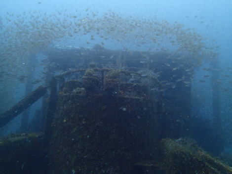 e0115199_16340114.jpg