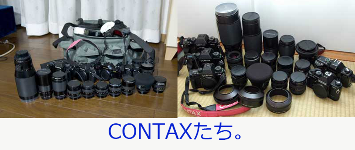 先生!!!!と一月最後の日。_a0271402_851128.jpg